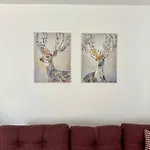 Natura Apartment *