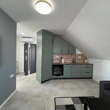 公寓 Natura 克拉尼