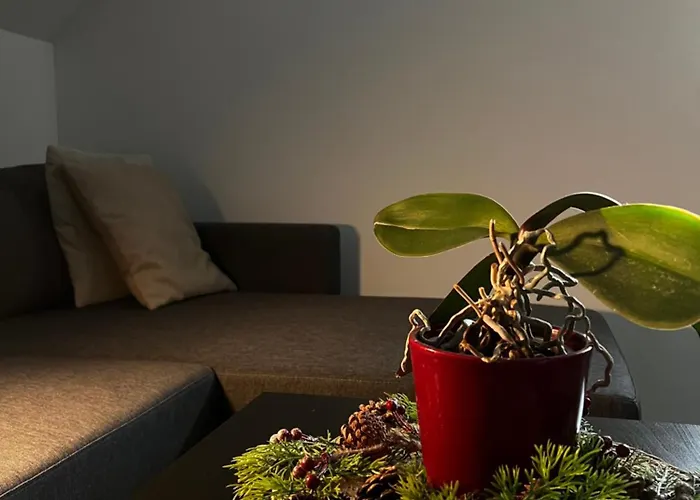 Διαμέρισμα Natura *